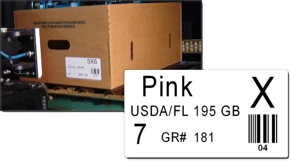 Box and Barcode Example